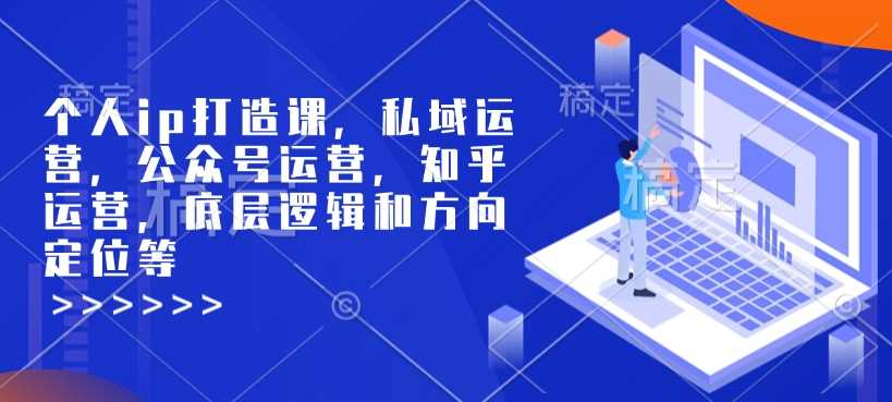 个人ip打造课，私域运营，公众号运营，知乎运营，底层逻辑和方向定位等-虫2小屋