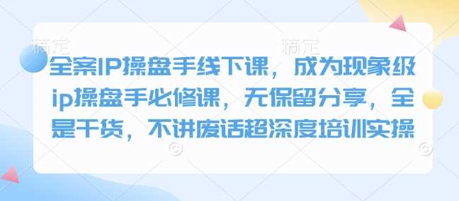 全案IP操盘手线下课，成为现象级ip操盘手必修课，无保留分享，全是干货，不讲废话超深度培训实操-虫2小屋