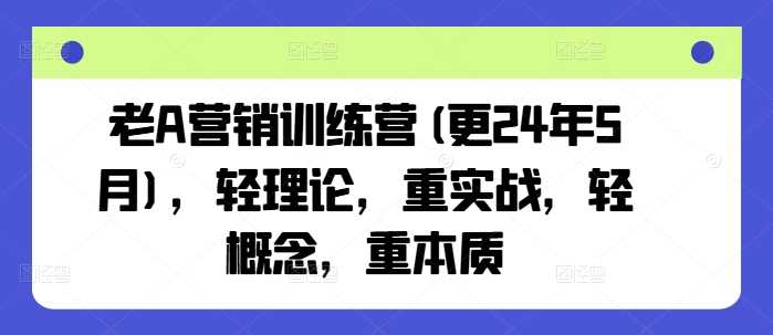 老A营销训练营(更25年1月)，轻理论，重实战，轻概念，重本质-虫2站点