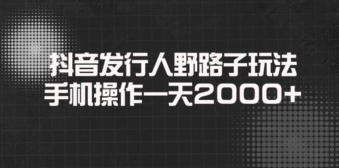 （14068期）抖音发行人野路子玩法，手机操作一天2000+-虫2小屋