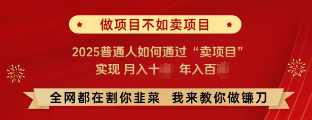 必看，做项目不如卖项目，2025普通人如何通过“卖项目”实现月入十个，年入百个-虫2小屋