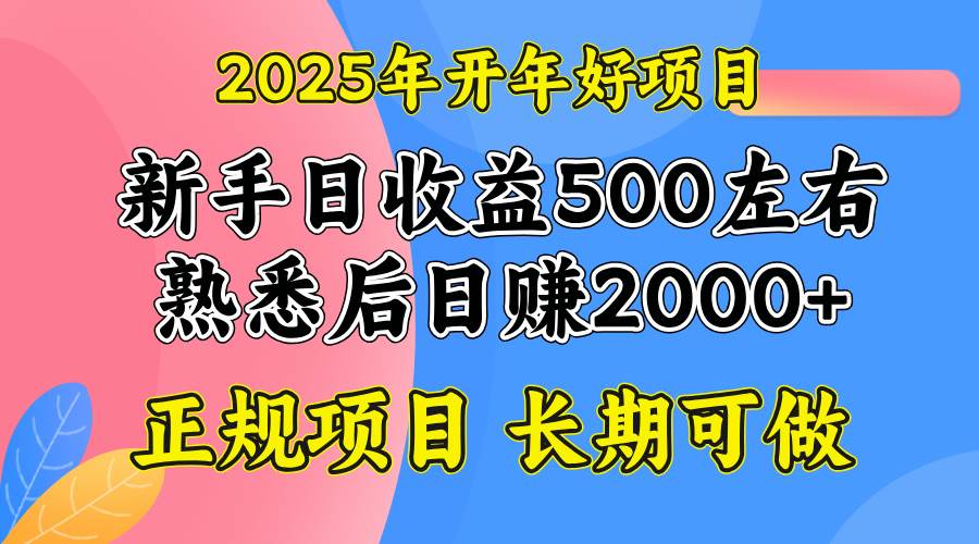 （14076期）2025开年好项目，单号日收益2000左右-虫2小屋