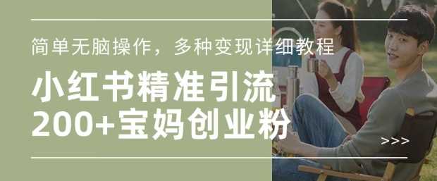 小红书混剪日引200+宝妈创业粉，简单无脑操作，多种变现详细教程-虫2小屋
