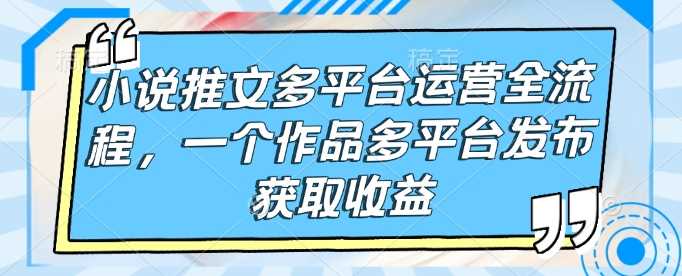 小说推文多平台运营全流程，一个作品多平台发布获取收益-虫2小屋