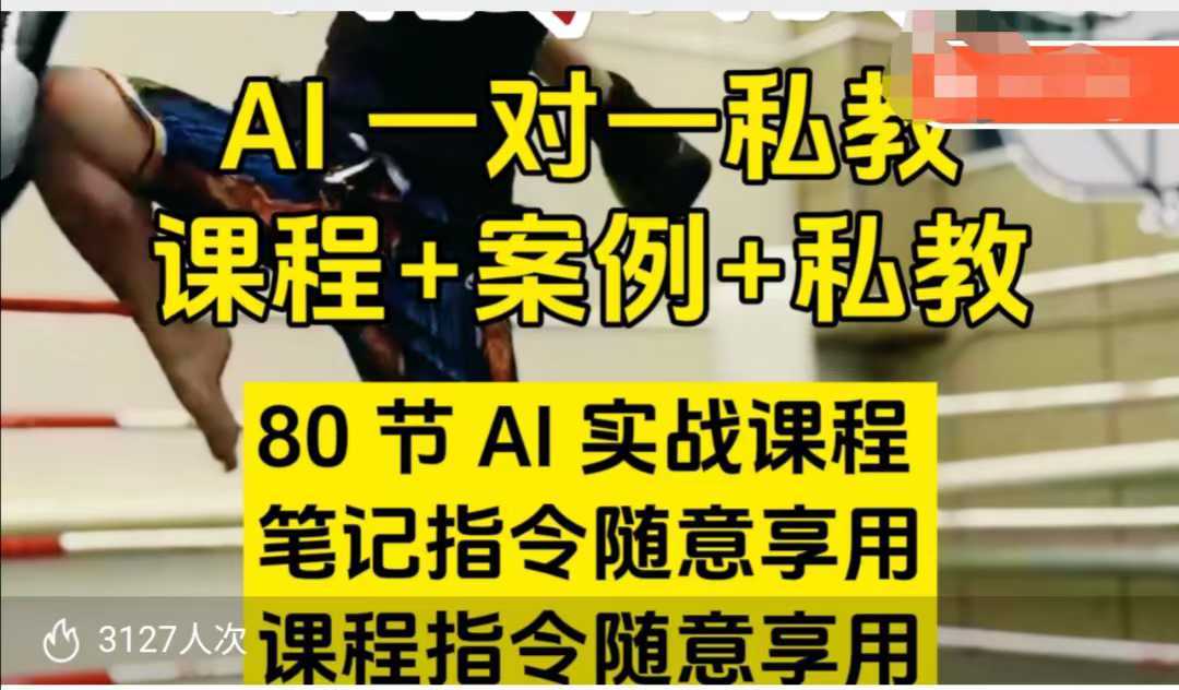 AI指令实战课，课程+案例，80节AI实战课程，笔记指令随意享用，课程指令随意享用-虫2小屋