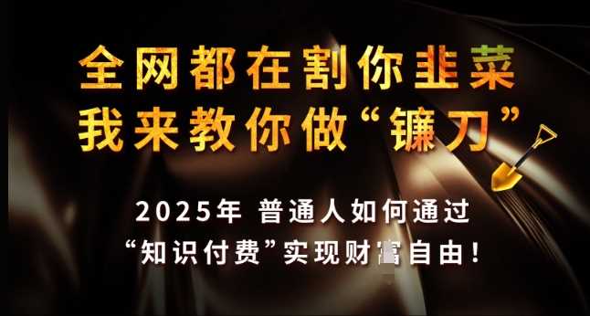 全网都在割你韭菜，我来教你做镰刀，2025年普通人如何通过 知识付费 实现财F自由【揭秘】-虫2小屋