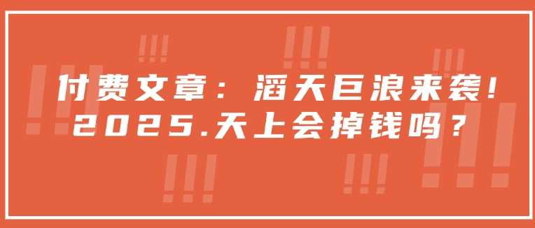 付费文章：滔天巨浪来袭！2025天上会掉钱吗？-虫2小屋