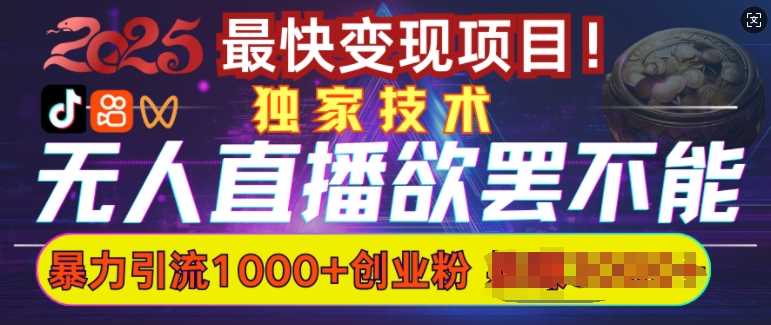 欲罢不能的无人直播引流，超暴力日引流1000+高质量精准创业粉-虫2小屋