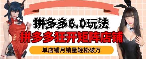 拼多多虚拟商品暴利6.0玩法，轻松实现月入过W-虫2小屋