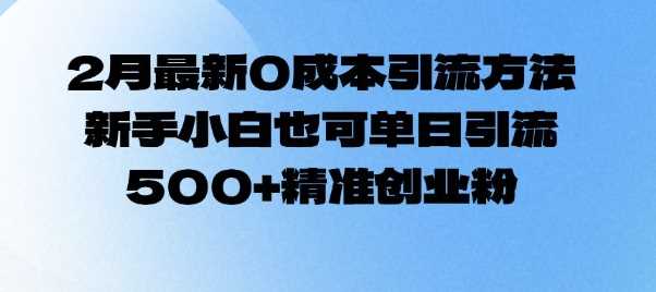 2月最新0成本引流方法，新手小白也可单日引流500+精准创业粉-虫2小屋