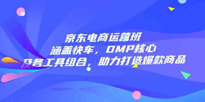 京东电商运营班：涵盖快车，DMP核心及各工具组合，助力打造爆款商品-虫2小屋