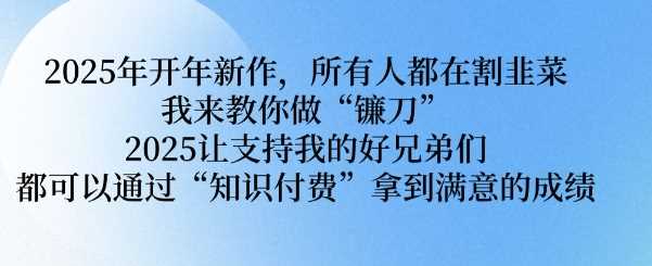 2025年开年新作，所有人都在割韭菜，我来教你做“镰刀” 2025让支持我的好兄弟们都可以通过“知识付费”拿到满意的成绩【揭秘】-虫2小屋