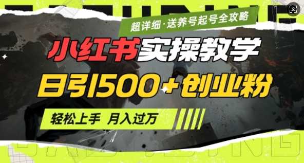 2月小红书最新日引500+创业粉实操教学【超详细】小白轻松上手，月入1W+，附小红书养号起号SOP-虫2小屋