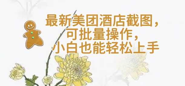 【轻云】最新美团酒店截图，可批量操作，小白也能轻松上手-虫2小屋