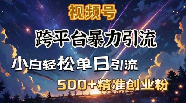 跨平台暴力引流，私域完美闭环，日引500+精准创业粉-虫2小屋
