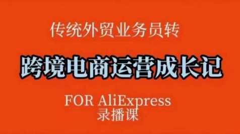 跨境电商速卖通运营课，​运营方法论+后台实操，逻辑清晰-虫2小屋