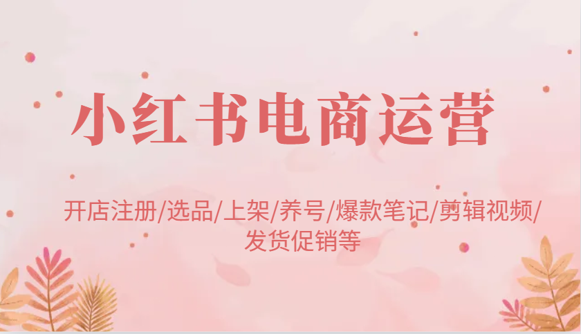 小红书电商运营：开店注册/选品/上架/养号/爆款笔记/剪辑视频/发货促销等-虫2小屋
