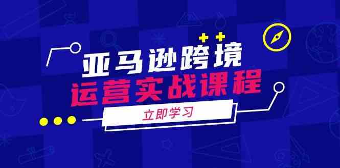 亚马逊跨境运营实战课程：涵盖亚马逊运营、申诉、选品等多个方面-虫2小屋