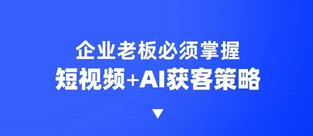 企业短视频AI获客霸屏流量课，6步短视频+AI突围法，3大霸屏抢客策略-虫2小屋