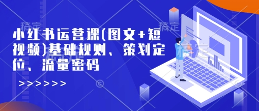 小红书运营课(图文+短视频)基础规则、策划定位、流量密码-虫2小屋