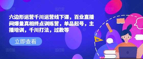 六边形运营千川运营线下课，百业直播间爆量真相终点训练营，单品起号，主播培训，千川打法，过款等-虫2小屋