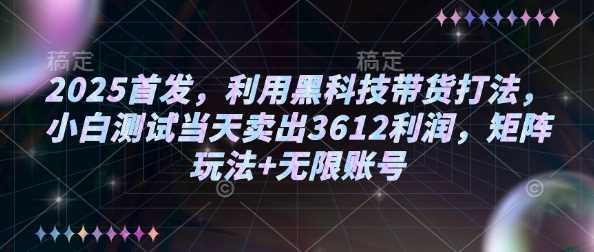 2025首发，利用黑科技带货打法，小白测试当天卖出3612利润，矩阵玩法+无限账号【揭秘】-虫二网创