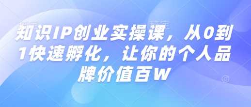 知识IP创业实操课，从0到1快速孵化，让你的个人品牌价值百W-虫2小屋