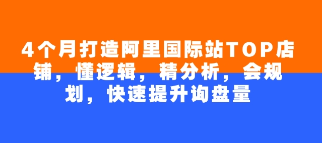4个月打造阿里国际站TOP店铺，懂逻辑，精分析，会规划，快速提升询盘量-虫2小屋