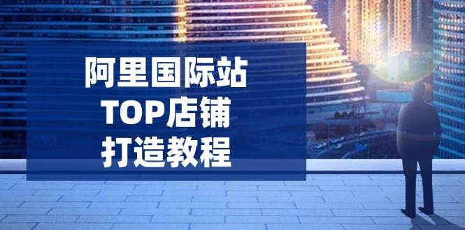 （14269期）阿里国际站TOP店铺打造教程：涵盖平台到高阶，解决运营难题，提升询盘-虫2小屋