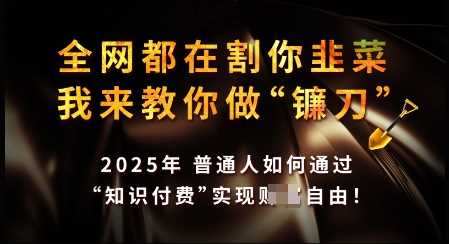 知识付费如何做到月入过W+，2025我来教你做“镰刀”【揭秘】-虫2小屋