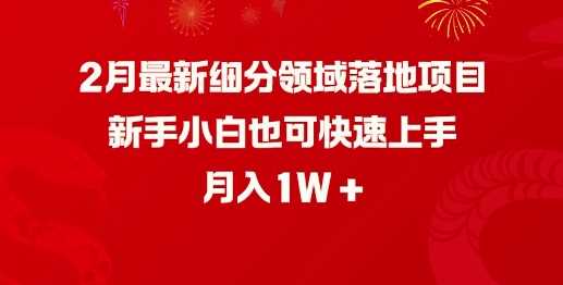2月最新细分领域落地项目，新手小白也可快速上手，月入1W-虫2小屋