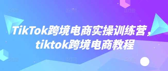 TikTok跨境电商实操训练营，tiktok跨境电商教程-虫2小屋
