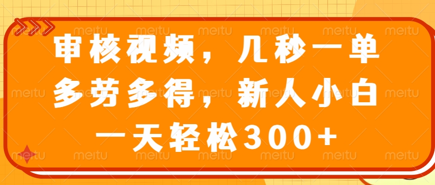 （14294期）审核视频，几秒一单，多劳多得，新人小白一天轻松300+-虫2小屋