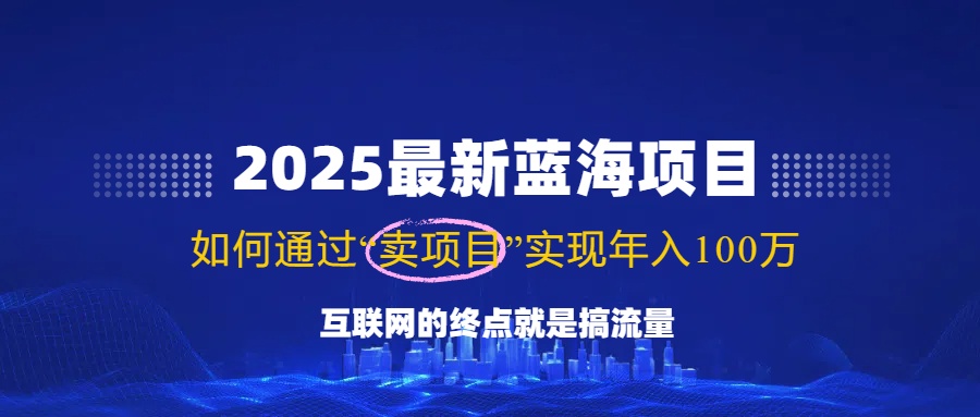 （14305期）2025最新蓝海项目，零门槛轻松复制，月入10万+，新手也能操作！-虫二网创