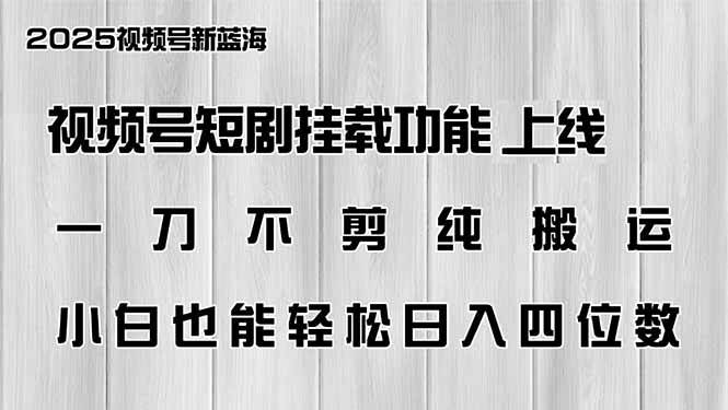 （14310期）视频号短剧挂载功能上线，一刀不剪纯搬运，小白也能轻松日入四位数-虫2小屋