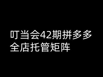 叮当会拼多多打爆班原创高阶技术第42期，拼多多全店托管矩阵-虫2小屋