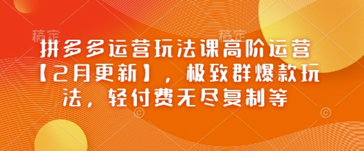 拼多多运营玩法课高阶运营【2月更新】，极致群爆款玩法，轻付费无尽复制等-虫2小屋
