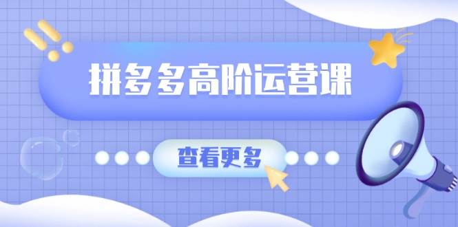 （14327期）拼多多高阶运营课：极致群爆款玩法，轻付费无尽复制，打造单品爆款之路-虫2小屋