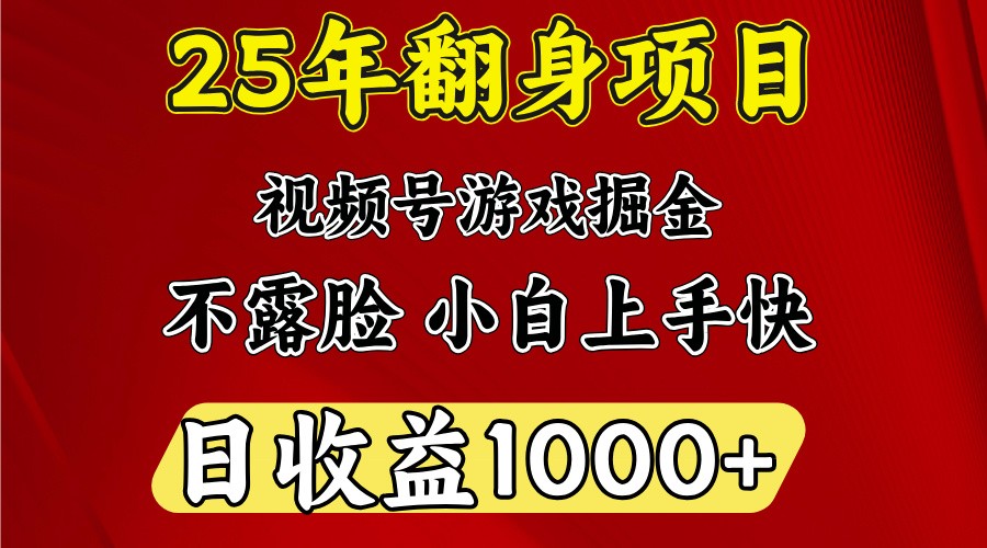 一天收益1000+ 25年开年落地好项目-虫2小屋