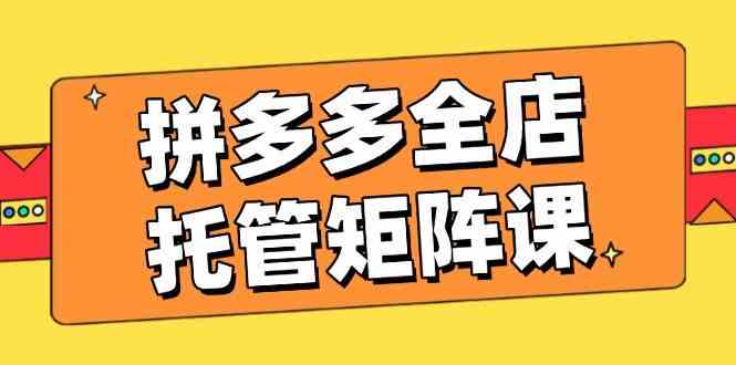 拼多多全店托管矩阵课，盈利动销玩法，高效计划设置，提升店铺效益-虫2小屋