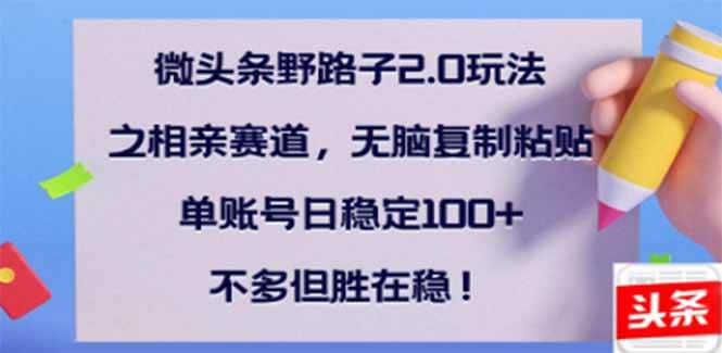 （14334期）微头条野路子2.0玩法之相亲赛道，无脑搬砖复制粘贴，单账号日稳定300+…-虫2小屋