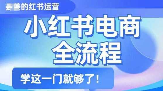 小红书电商全流程，精简易懂，从入门到精通，学这一门就够了-虫2小屋