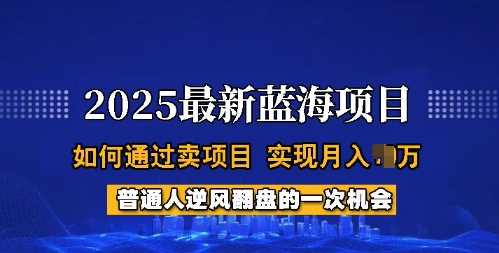 2025蓝海项目，普通人如何通过卖项目，实现月入过W，全过程【揭秘】-虫2小屋