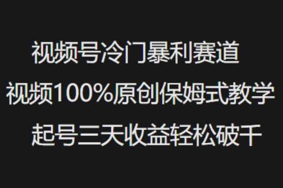 视频号冷门暴利赛道视频100%原创保姆式教学起号三天收益轻松破千-虫2小屋