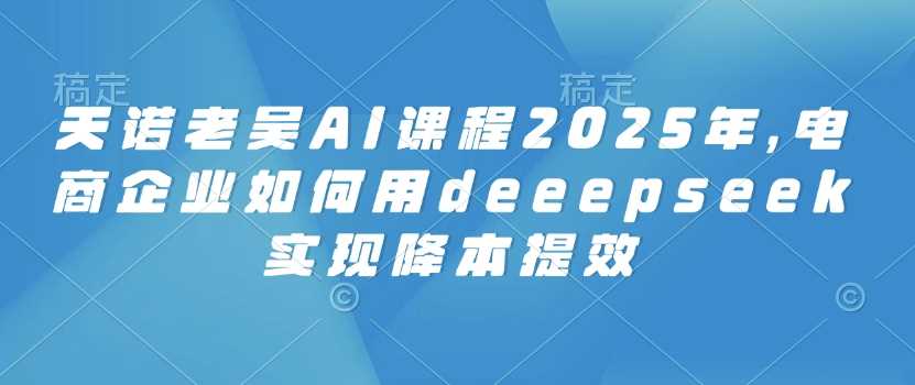 天诺老吴AI课程2025年，电商企业如何用deeepseek实现降本提效-虫2小屋
