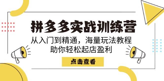 （14392期）拼多多实战训练营，从入门到精通，海量玩法教程，助你轻松起店盈利-虫2小屋