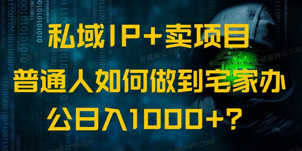 （14400期）私域IP+卖项目，普通人如何做到宅家办公实现日入1000+-虫2小屋