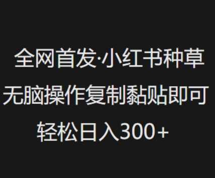 全网首发，小红书种草无脑操作，复制黏贴即可，轻松日入3张-虫2小屋