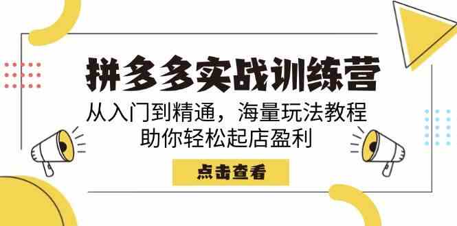 拼多多实战训练营，从入门到精通，海量玩法教程，助你轻松起店盈利-虫2小屋