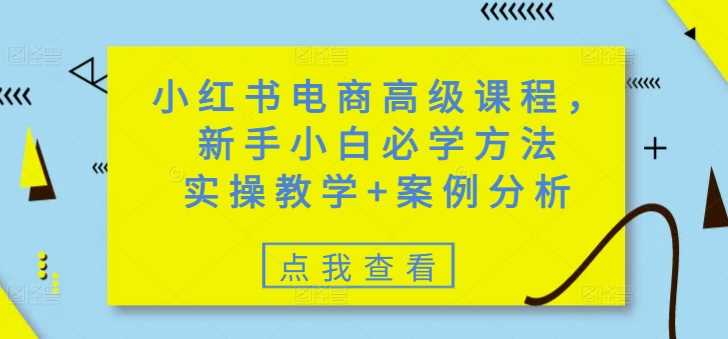 小红书电商高级课程，新手小白必学方法，实操教学+案例分析-虫2小屋